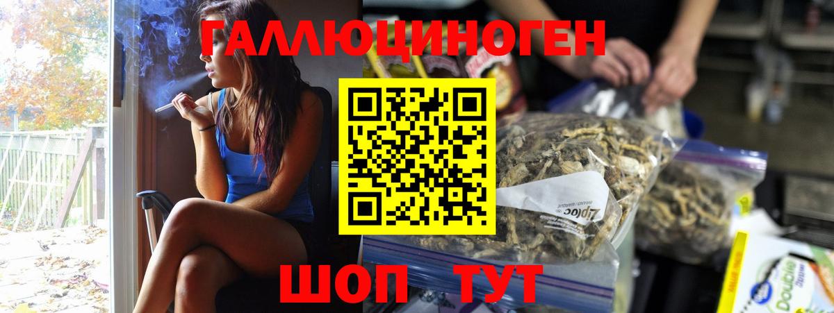 Псилоцибиновые грибы Psilocybe Черногорск